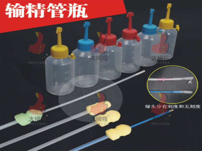 輸精管瓶